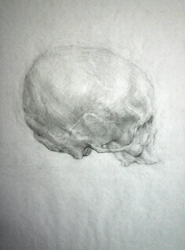 Pencil contemporary drawing of a skull